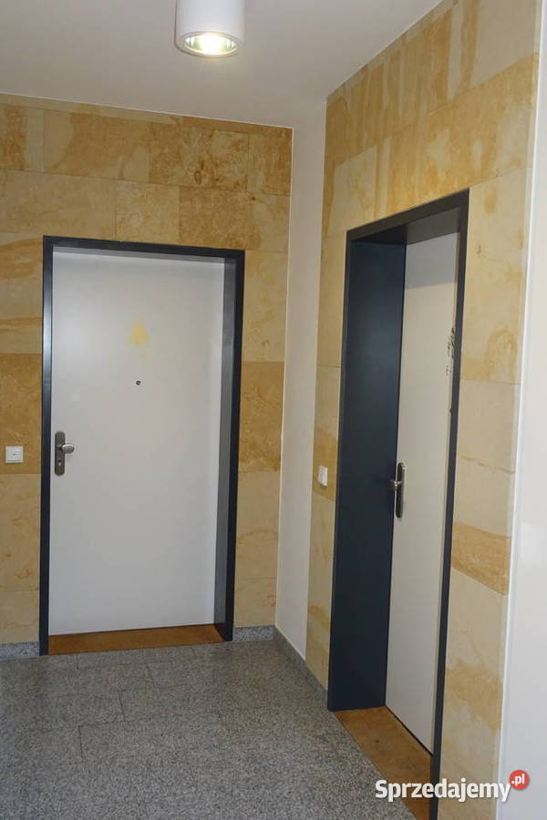 Kamień naturalny płyty kamienne do salonu kuchni sprzedam