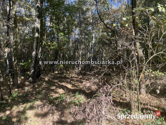 Grunt 15421m2 Czyżowice