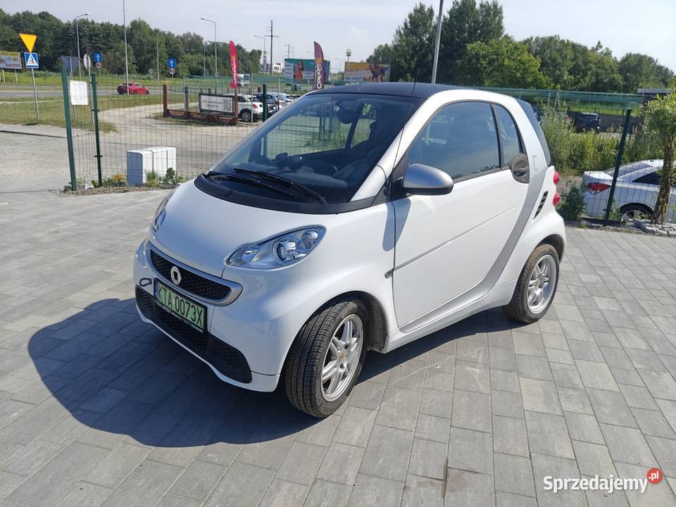 Smart fortel elektryczny Tarnów
