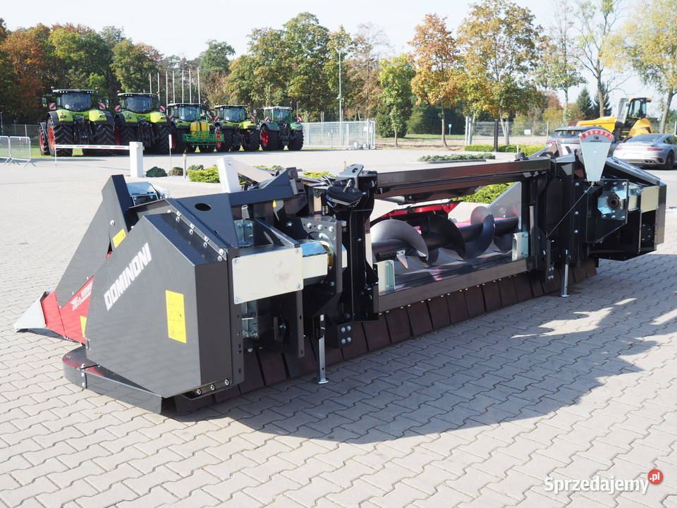 Dominoni SL 976 BG KAIMAN Przystawka do Stęszew