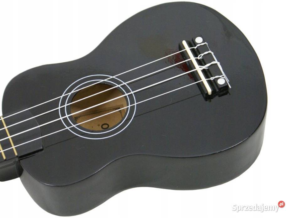 Drewniane UKULELE ECHO AŻ 11 KOLORÓW Okazja małopolskie Nowy Sącz