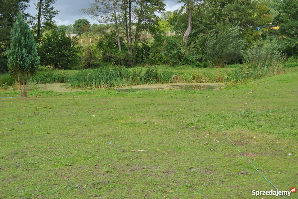 Sprzedam Duży Dom Gudzisz