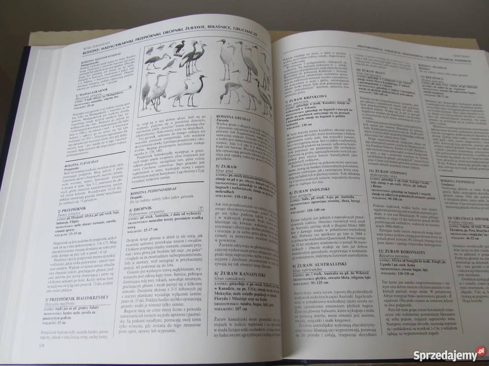 WIELKA ENCYKLOPEDIA PTAKÓW Perrins ChM lubuskie Zielona Góra