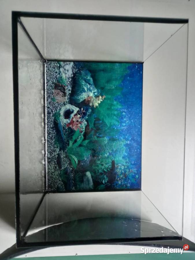 Akwarium 30 l plus tło i mata Kraków