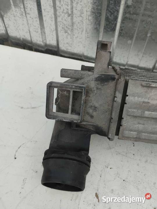 CHŁODNICA INTERCOOLER RENAULT SCENIC III 15 DCI Części samochodowe