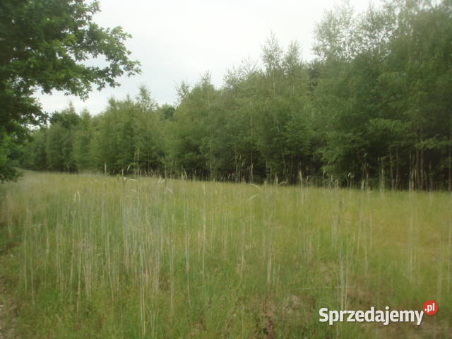 Syndyk sprzeda nieruchomość w miejscowości Grunty i działki mazowieckie Wolanów