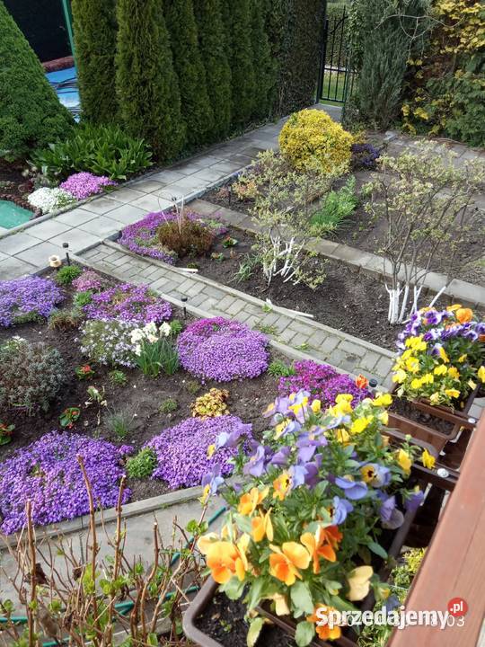 Sprzedam działkę rekreacyjną Pozostałe Żory