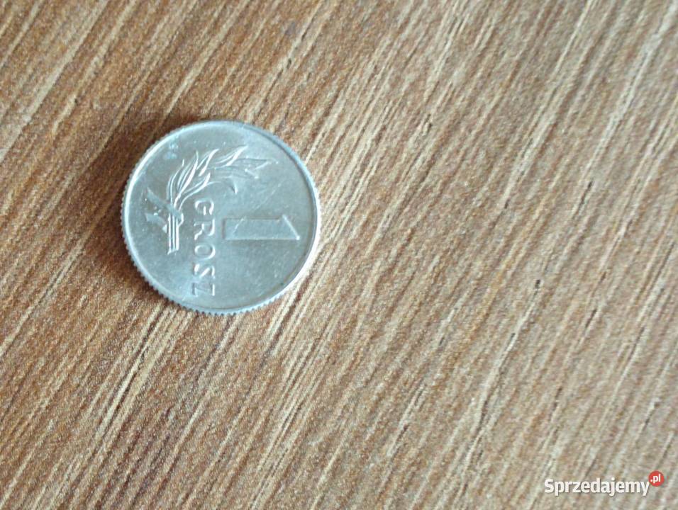 Sprzedam 1 grosz 1949 r bzm Chełm