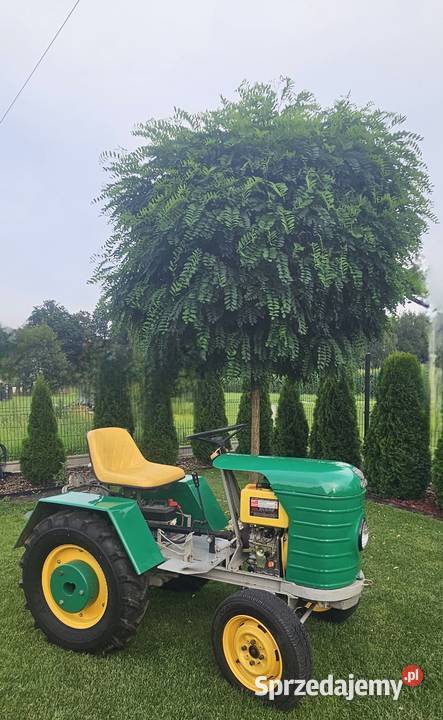 Traktorek traktor na bazie dzika na nowych