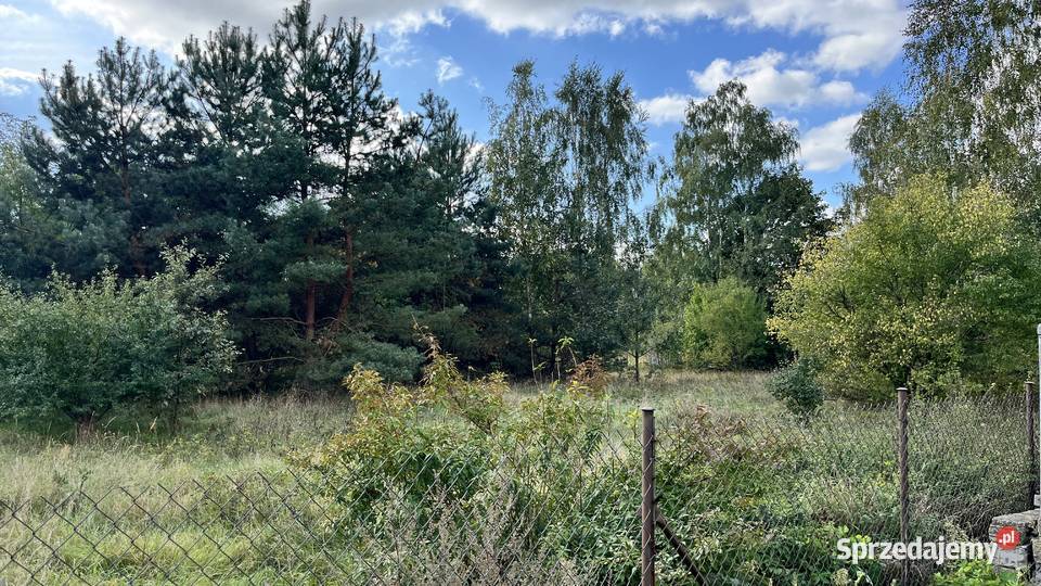 Działka budowlana 1233m2 Sabnie 10 min do 1233m2 Hołowienki