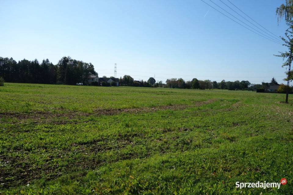Skoczów Ochaby 157ha z cześcią budowlaną 55ar i