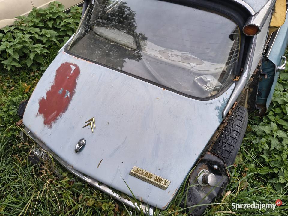 Citroen DS21 Pallas zabytek youngtimer oldtimer Kluczbork