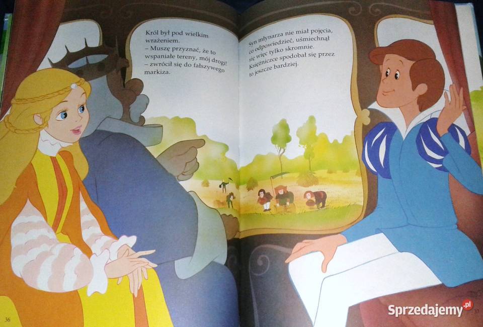 Kot w butach Van Gool lubelskie Chełm