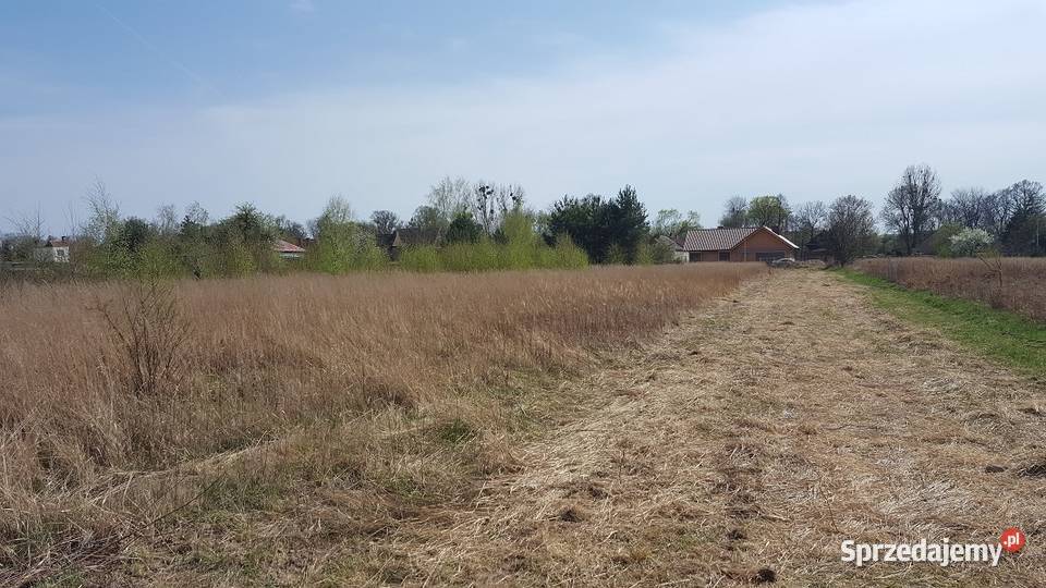 Działka Budowlana 3000 m2 MEDIA Ozorowice budowlana dolnośląskie