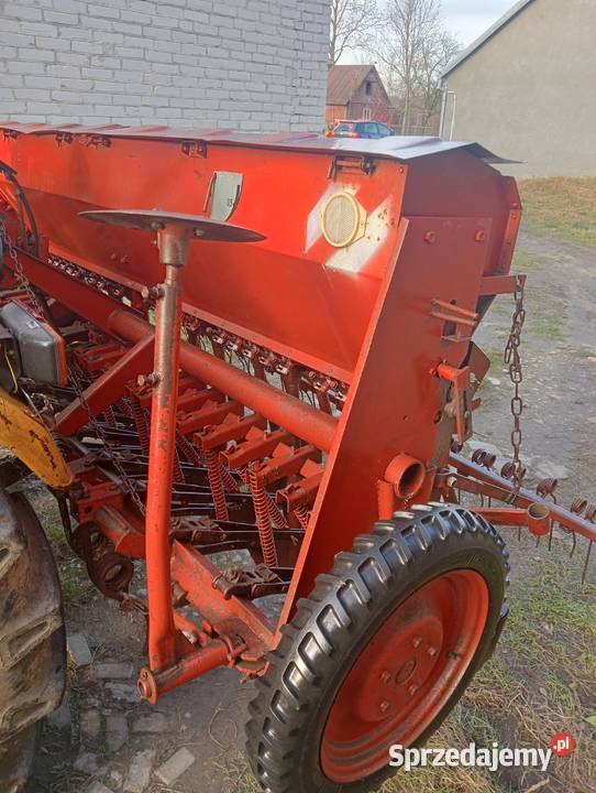 Siewnik poznaniak Czyżew