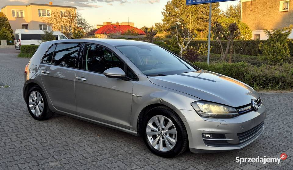 Volkswagen Golf 7 16 TDI BlueMotion wielkopolskie Leszno