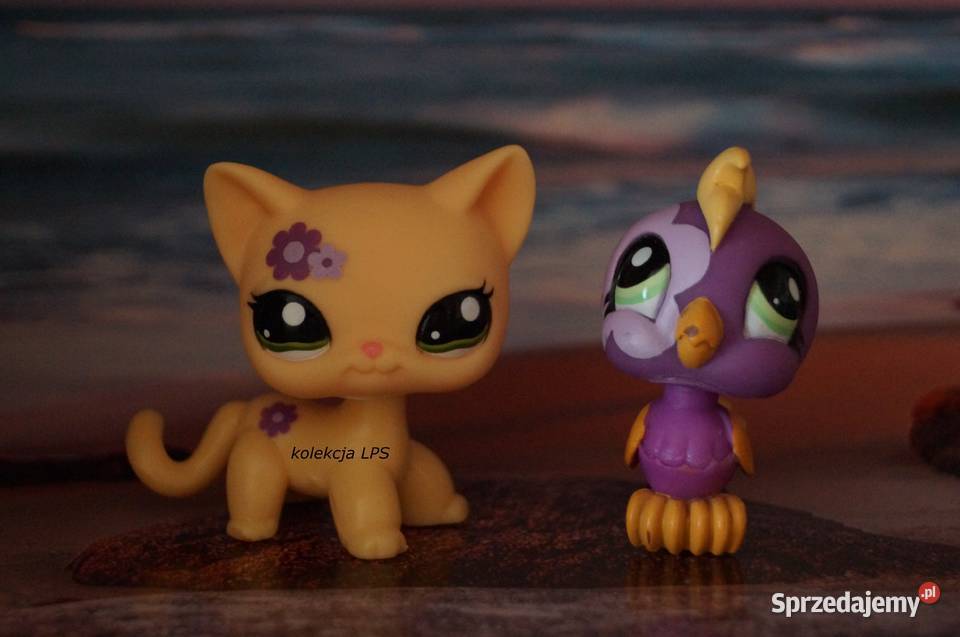 LPS Littlest Pet Shop shorthair 1962 oryginalny śląskie Rybnik