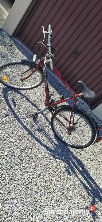 Rower Radawiec Duży