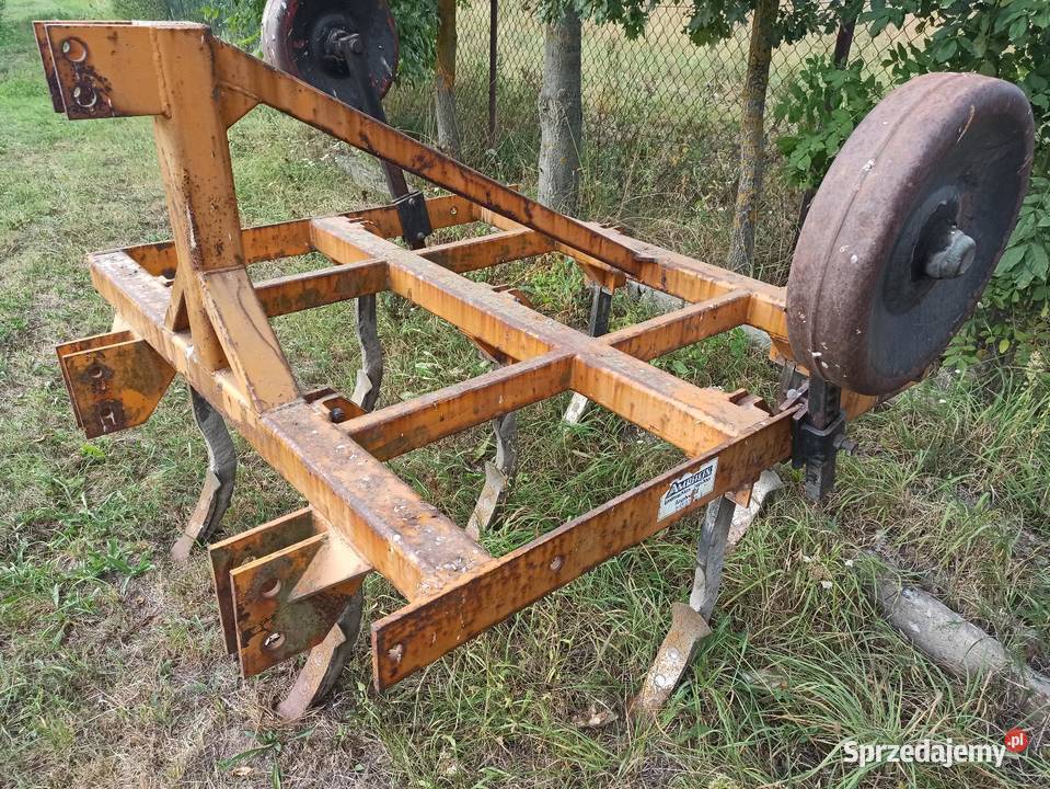 Gruber Głębosz 7 łap Tuczna