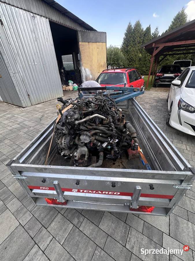 Vw T6 wszystkie części Nowy Sącz