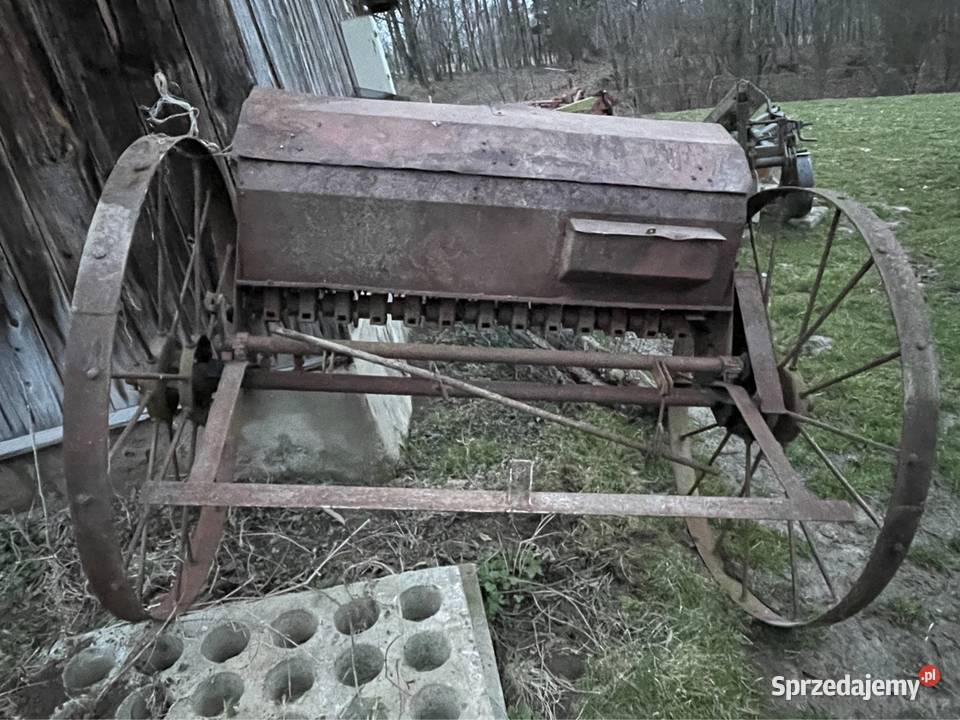 Siewnik konny podkarpackie Dębica