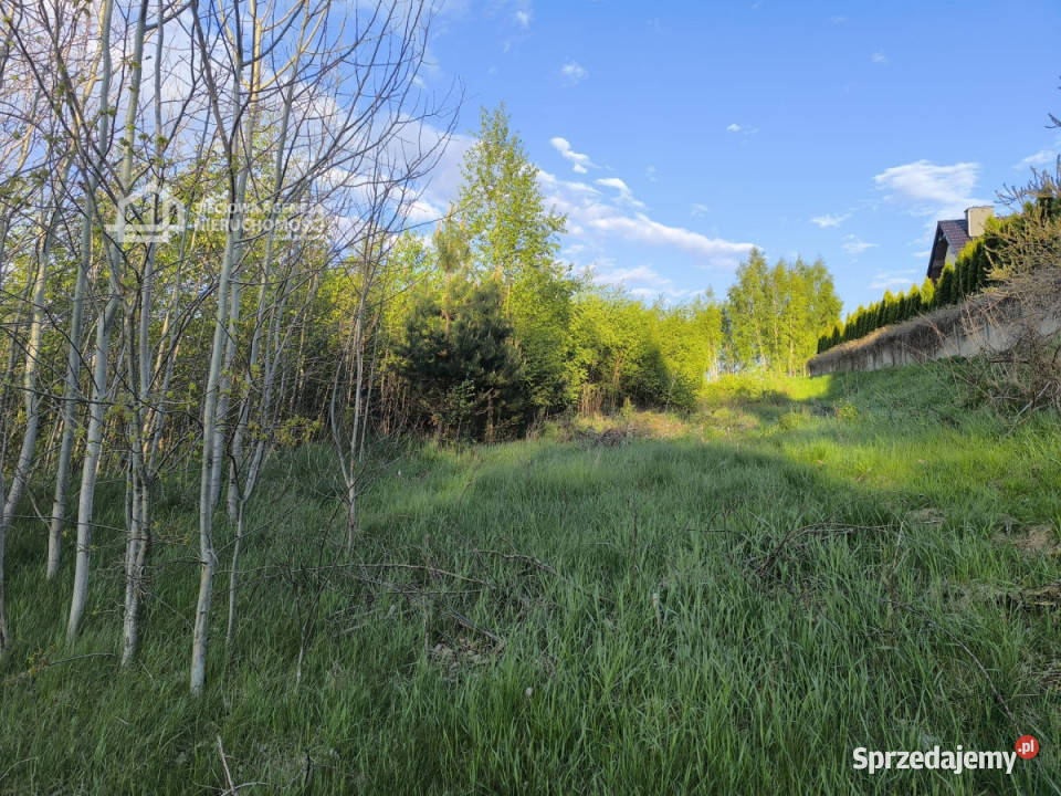 sprzedaży działki Dobrzewino 1667m2 1667m2