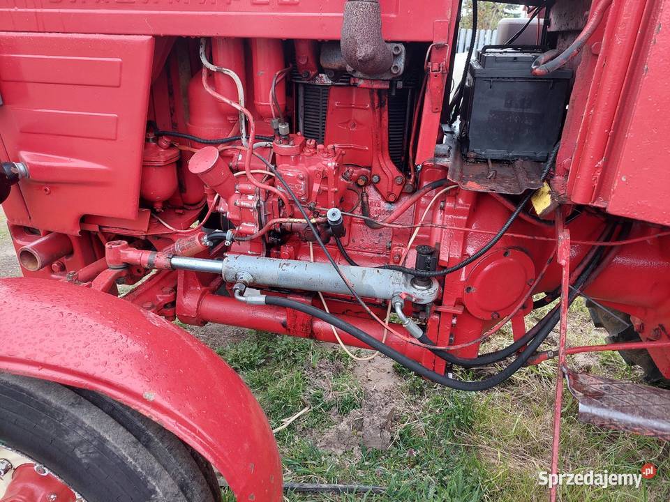 Władymirjec T25A Rusek mazowieckie Jawor Solecki