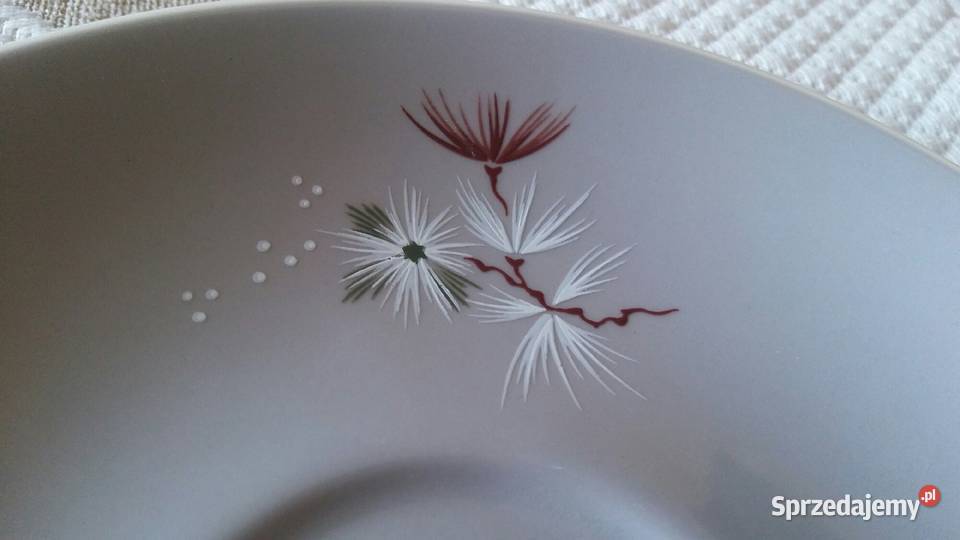 Royal Doulton filizanka do kawy frost pine Kraczewice Prywatne