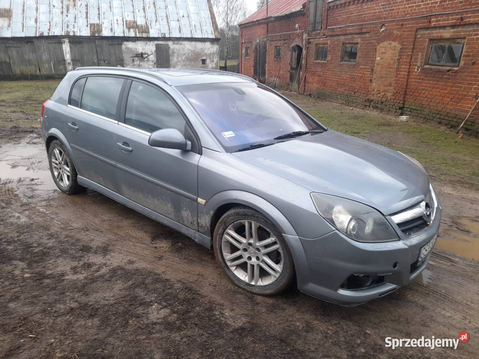 Opel Signum 19 tdi 150 spalanie 4 litry