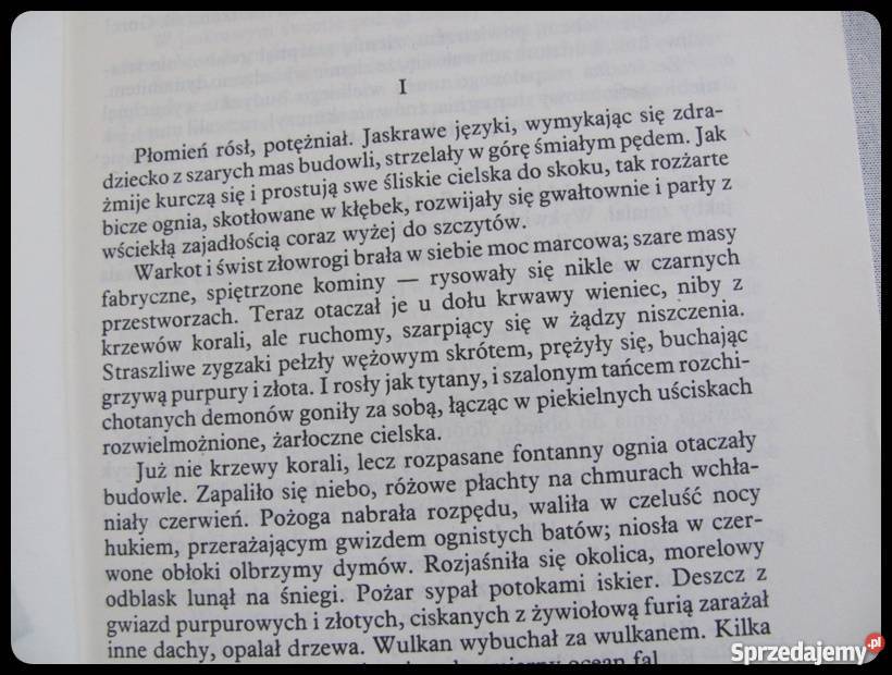 Helena Mniszkówna Ordynat Michorowski Kultura i Rozrywka