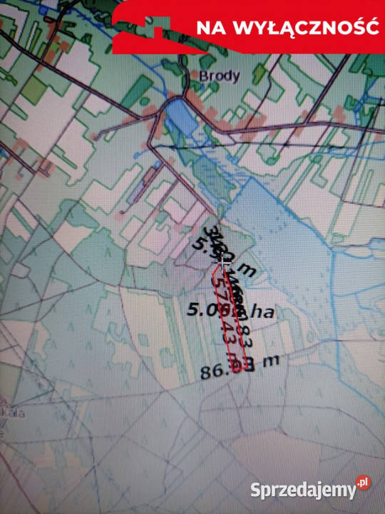 Działka leśna 390 ha w Brodach gm Pierzchnica Brody
