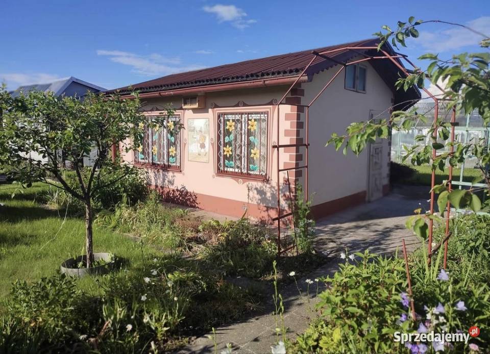 Sprzedam działkę ROD MICKIEWICZA 400m2 Sprzedaż opolskie Nysa