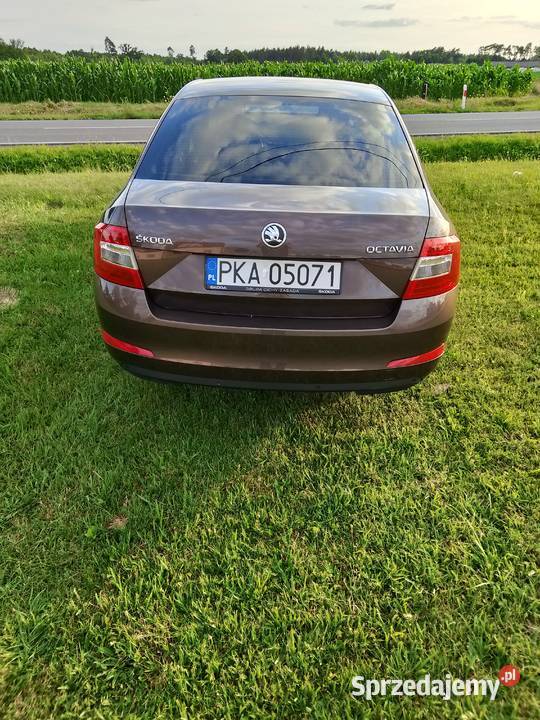Skoda Octavia Blizanów