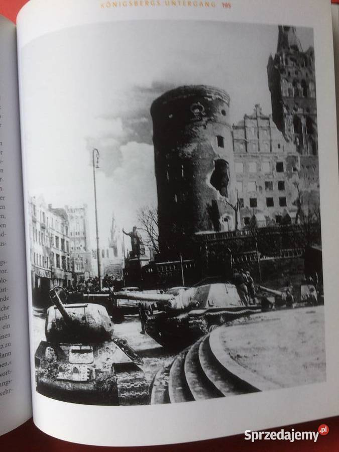 3001 Bursztynowy Pokój sprzedam