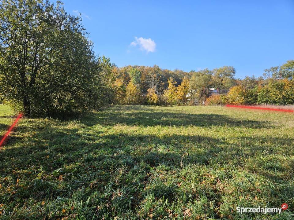 Działka w Sękowej Beskid Niski Działka na wsi na Sękowa