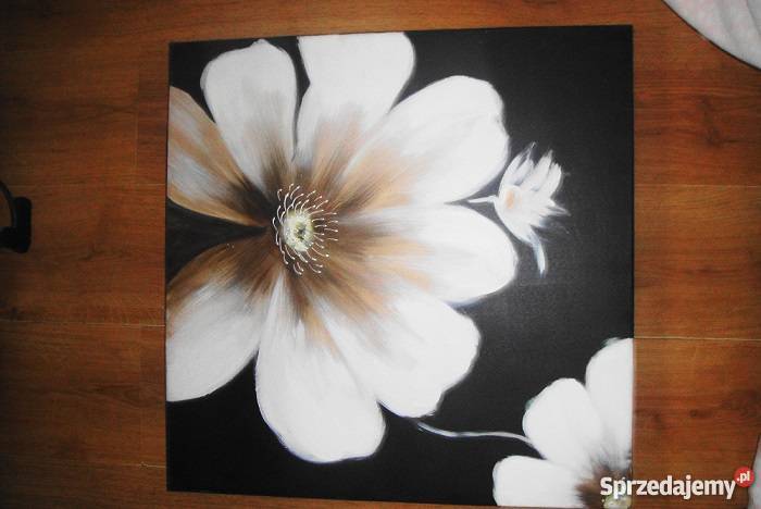 Obraz Eurofirany Wyposażenie wnętrz Wrocław