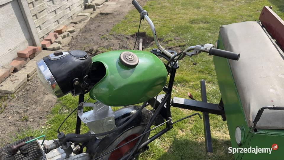 Trajka dzik wsk wielkopolskie Parczew