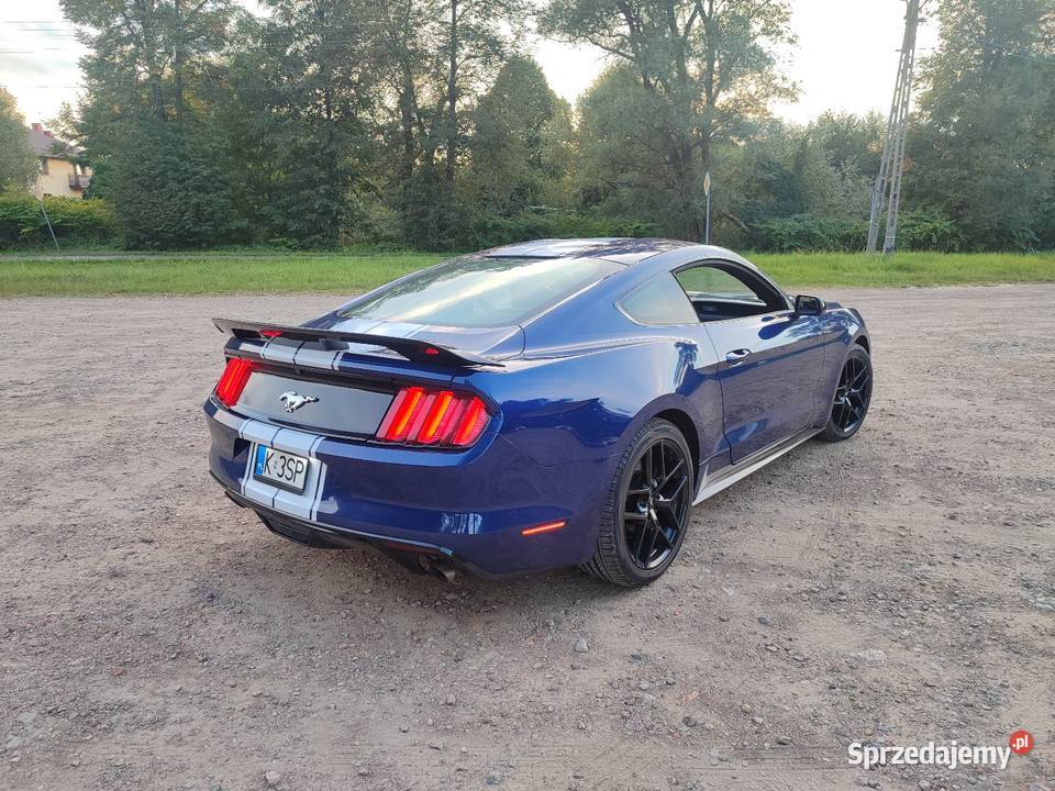 Ford Mustang zadbany Kalwaria Zebrzydowska