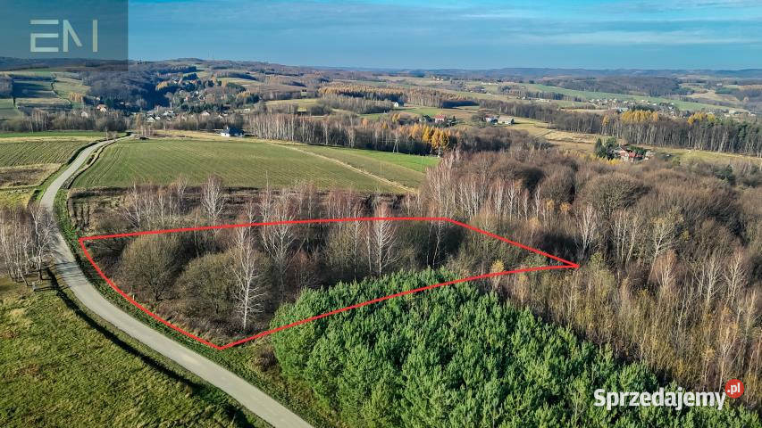 sprzedaży gruntu Niewodna 4500m2