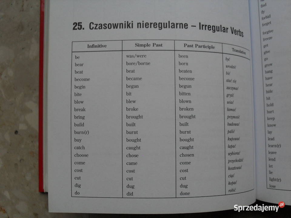 Słownik angielsko-polski, polsko-angielski z gramatyką Warszawa