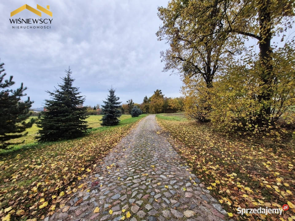 Działki z wydanymi warunkami zabudowy Wysoka sprzedam