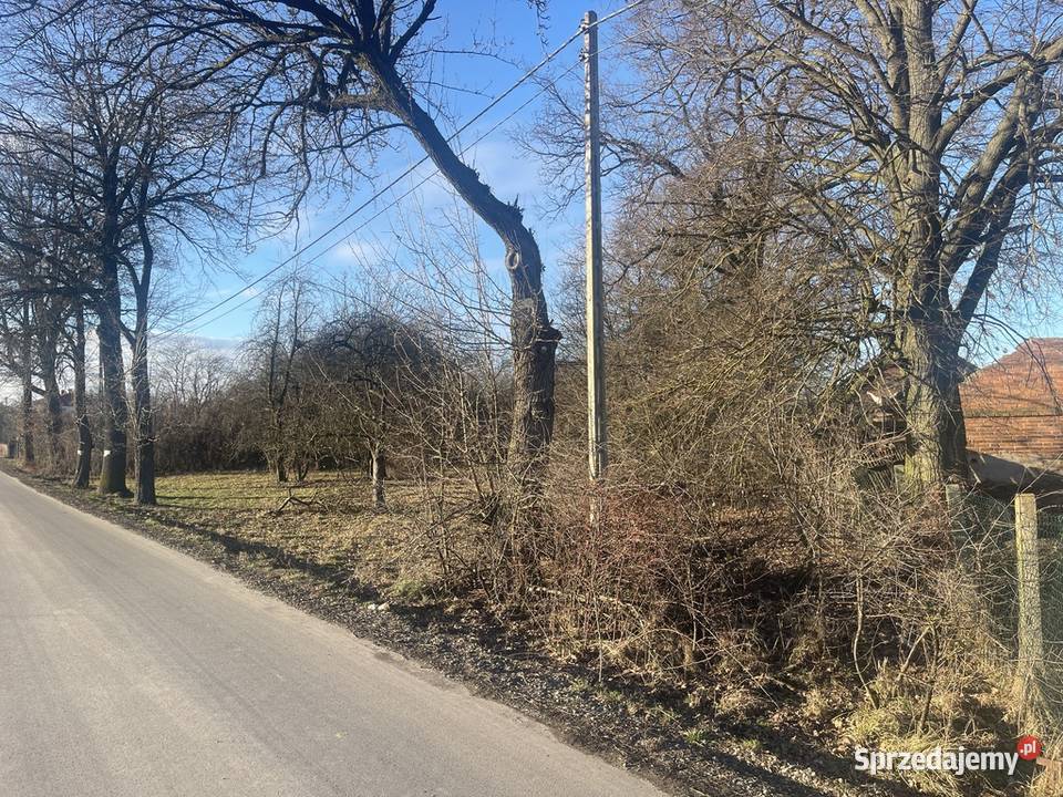 Działka budowlana z pięknym starodrzewiem Elżbietów sprzedam