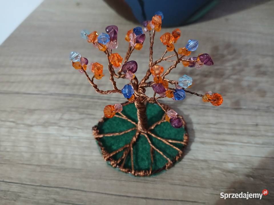 Drzewko szczęścia warmińsko-mazurskie Olsztyn