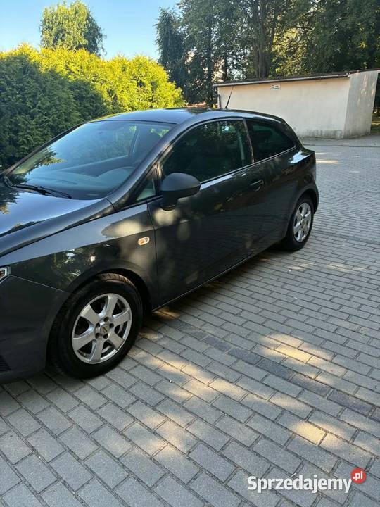 Seat Ibiza 2010