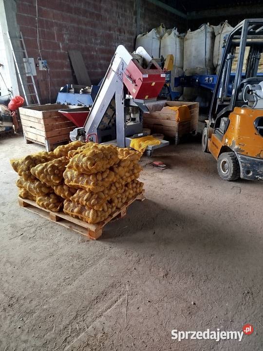 Ziemniaki jadalne colombo Riviera Chrzanów