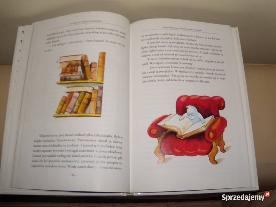 Duszek ze starego zamczyska Zofia Szanter Rok wydania 1997 Warszawa