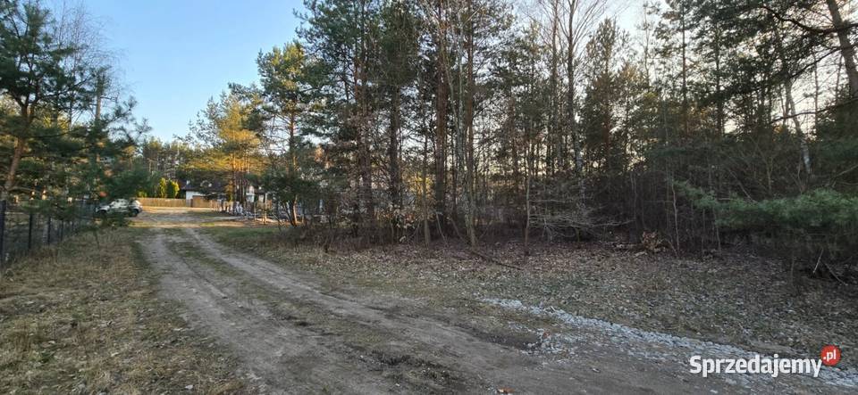 Duża dzialka w otoczeniu natury 35 min stolicy 3431m2 mazowieckie Żabia Wola sprzedam