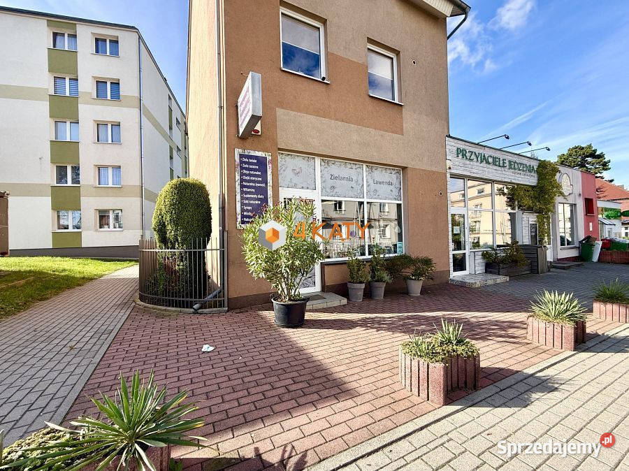 Lokal Zielona Góra 180m2