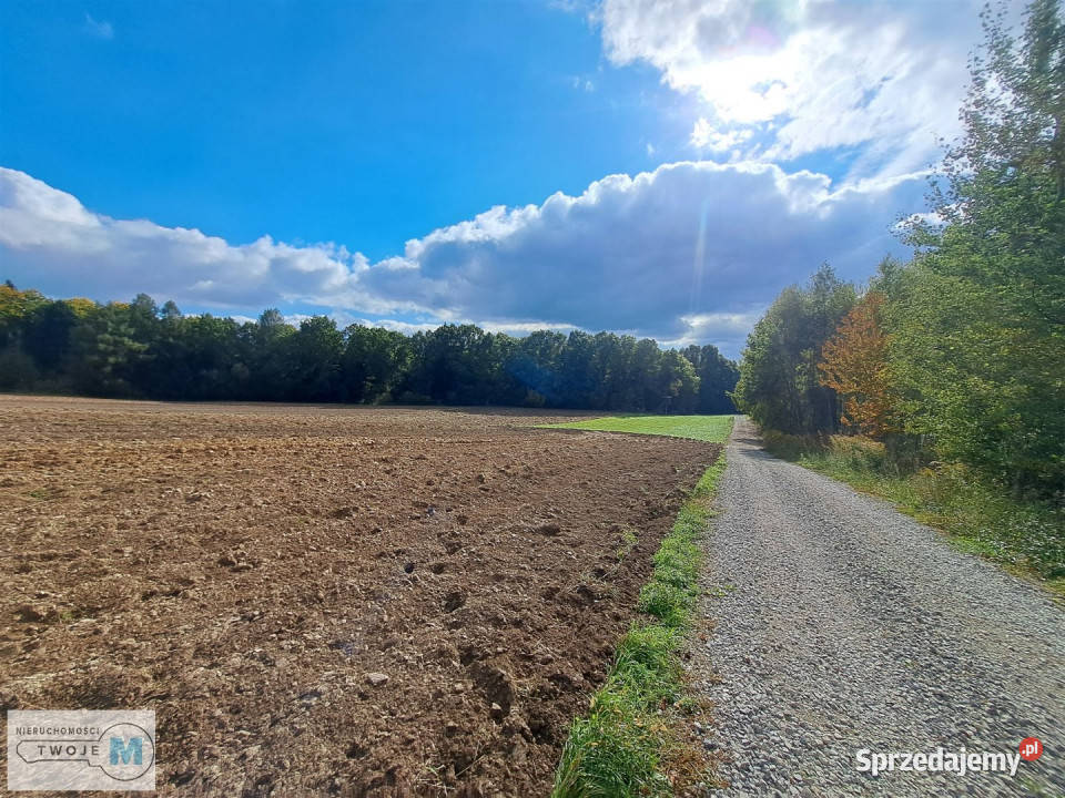 Grunt Łagów 8879m2 świętokrzyskie