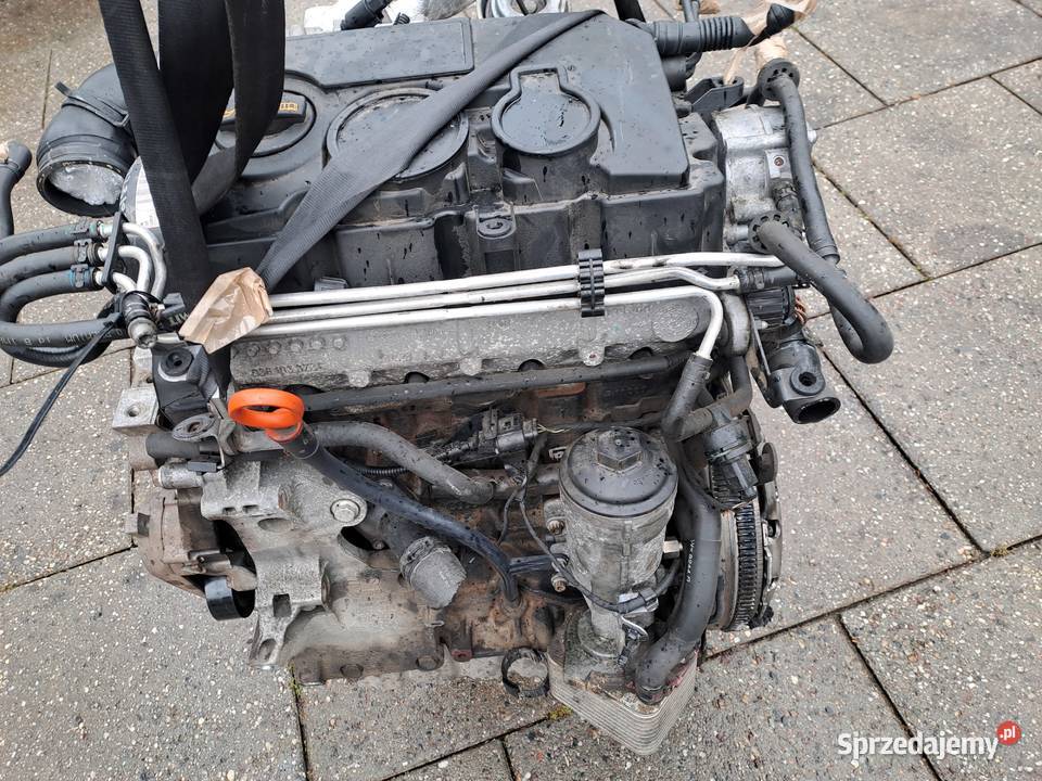 Audi Seat Skoda Volkswagen 20 TDi 8V 140 silnik Jastrzębie-Zdrój